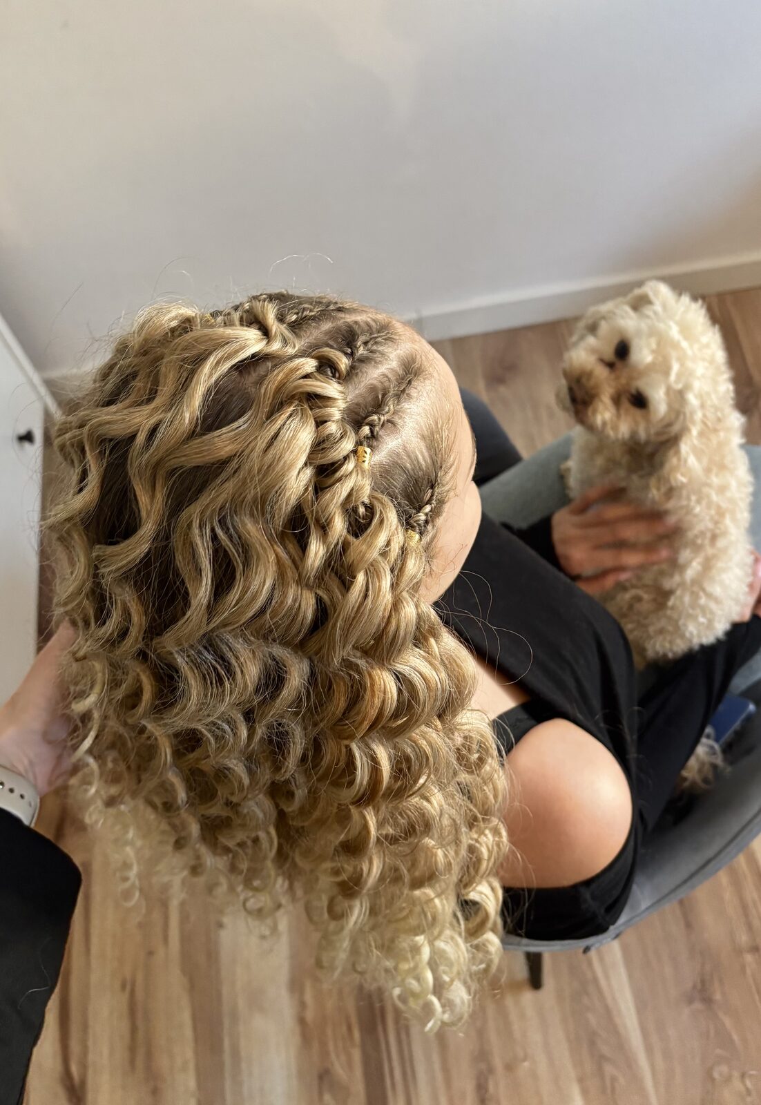 knotless braids Warszawa